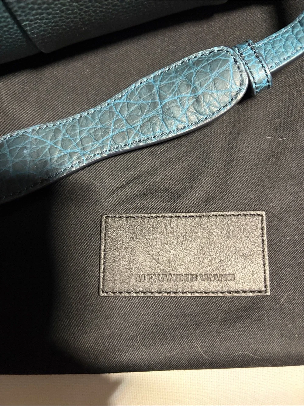 Alexander Wang Color changing Rocco